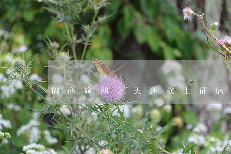 招商逾期2天还款上征信吗 招商逾期2天还款上征信吗