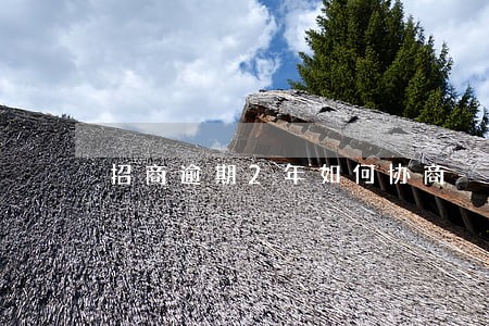 招商逾期2年如何协商