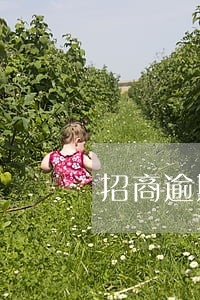 招商逾期2年怎么协商 招商逾期2年怎么协商