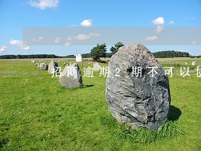 招商逾期2期不可以协商分期吗 招商逾期2期不可以协商分期吗