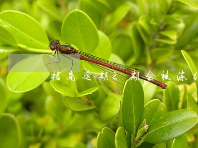 招商逾期2期会被冻结 招商逾期2期会被冻结