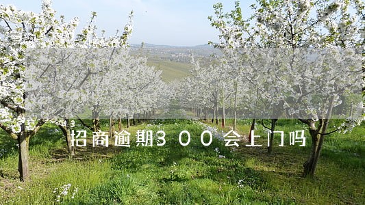 招商逾期300会上门吗 招商逾期300会上门吗