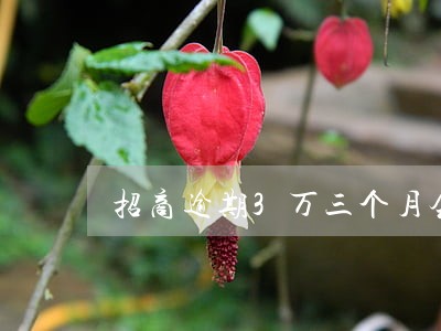 招商逾期3万三个月会立案吗 招商逾期3万三个月会立案吗