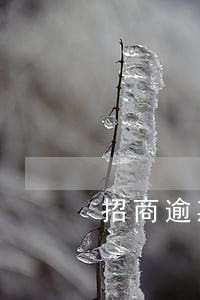 招商逾期3个月一万3 招商逾期3个月一万3