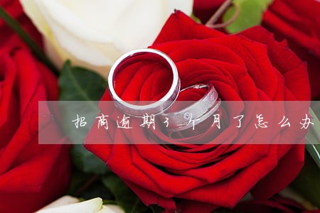 招商逾期3个月了怎么办上海 招商逾期3个月了怎么办上海