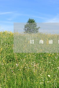 招商逾期3个月多久会寄律师函 招商逾期3个月多久会寄律师函