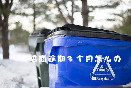 招商逾期3个月怎么办