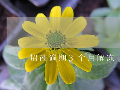 招商逾期3个月解冻 招商逾期3个月解冻