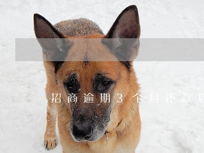 招商逾期3个月还款后 招商逾期3个月还款后