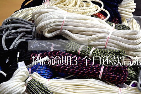 招商逾期3个月还款后冻结 招商逾期3个月还款后冻结
