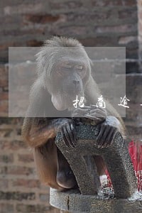 招商逾期3天 招商逾期3天