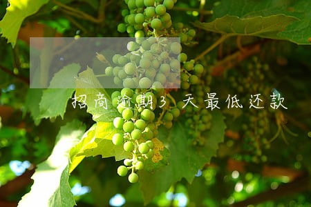 招商逾期3天最低还款 招商逾期3天最低还款