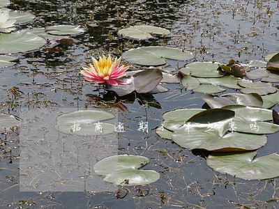 招商逾期3年立案吗 招商逾期3年立案吗