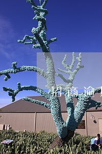 招商逾期3月全款还清还能用吗