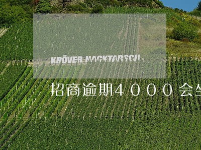 招商逾期4000会坐牢吗 招商逾期4000会坐牢吗