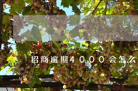 招商逾期4000会怎么样