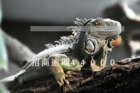 招商逾期44000 招商逾期44000