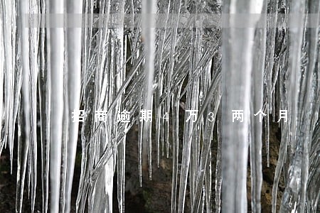 招商逾期4万3两个月 招商逾期4万3两个月