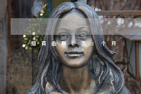 招商逾期4万3个月 招商逾期4万3个月