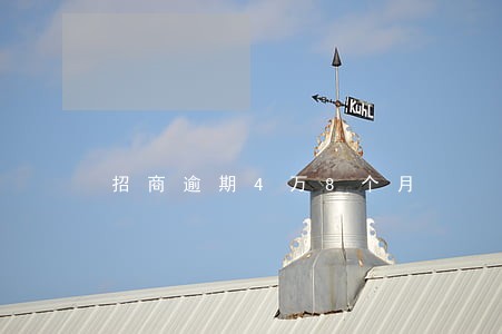 招商逾期4万8个月 招商逾期4万8个月