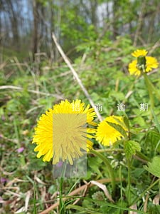 招商逾期4个月会报警吗 招商逾期4个月会报警吗
