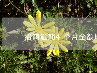 招商逾期4个月全额还款 招商逾期4个月全额还款