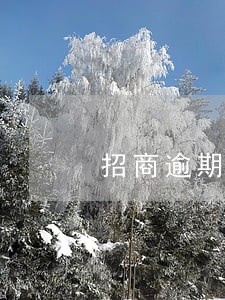 招商逾期4个月协商分期 招商逾期4个月协商分期