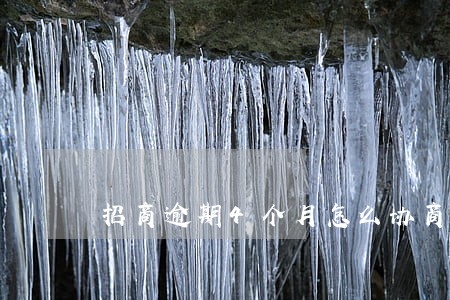 招商逾期4个月怎么协商