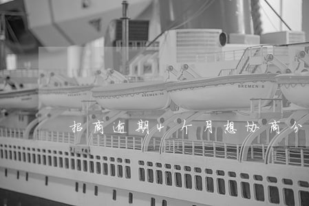 招商逾期4个月想协商分期怎么办 招商逾期4个月想协商分期怎么办