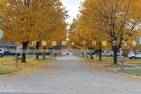 招商逾期4个月移交法务部 招商逾期4个月移交法务部