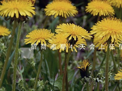 招商逾期4天会上征信吗 招商逾期4天会上征信吗