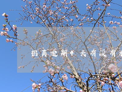 招商逾期4天有没有利息 招商逾期4天有没有利息