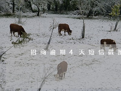 招商逾期4天短信截图 招商逾期4天短信截图