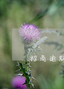 招商逾期4天还款上征信吗 招商逾期4天还款上征信吗