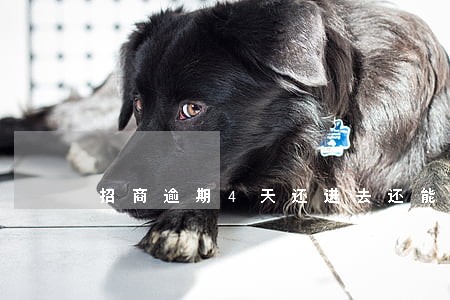 招商逾期4天还进去还能用吗 招商逾期4天还进去还能用吗