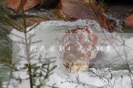 招商逾期4天逾期费 招商逾期4天逾期费