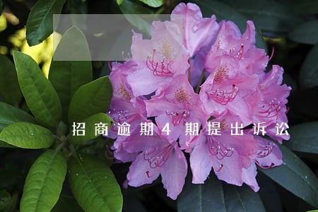 招商逾期4期提出诉讼 招商逾期4期提出诉讼
