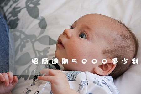 招商逾期5000多少利息 招商逾期5000多少利息