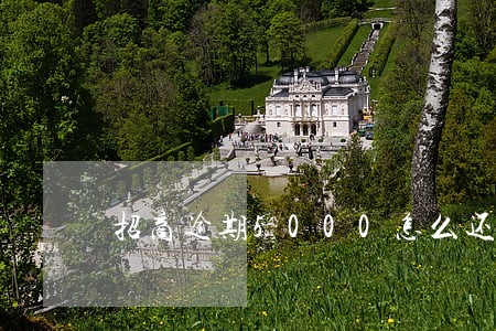 招商逾期5000怎么还款利息 招商逾期5000怎么还款利息