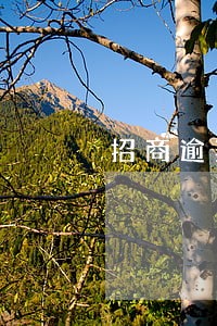 招商逾期5万可以协商还本金吗 招商逾期5万可以协商还本金吗