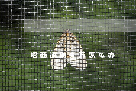招商逾期5万怎么办 招商逾期5万怎么办