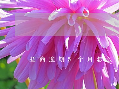 招商逾期5个月怎么解冻 招商逾期5个月怎么解冻
