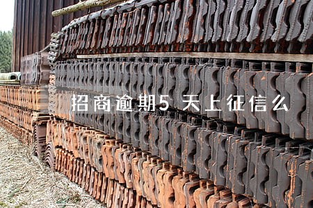 招商逾期5天上征信么