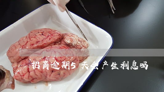 招商逾期5天会产生利息吗