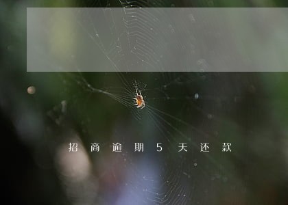 招商逾期5天还款