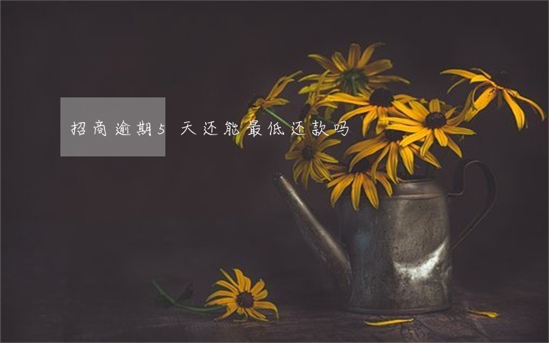 招商逾期5天还能最低还款吗 招商逾期5天还能最低还款吗