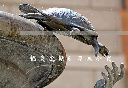 招商逾期6万三个月 招商逾期6万三个月