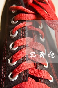 招商逾期7个月上门 招商逾期7个月上门