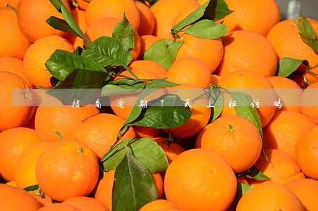 招商逾期7天上征信吗 招商逾期7天上征信吗