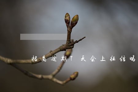 招商逾期7天会上征信吗 招商逾期7天会上征信吗